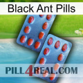 Black Ant Pills 05